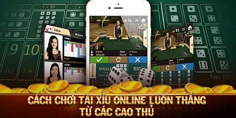 Cách Chơi Tài Xỉu Trực Tuyến Tại Kubet77 Đơn Giản, Hiệu Quả