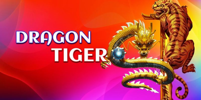 Quy trình tham dự Dragon Tiger trực tuyến